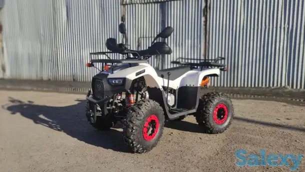 Квадроциклы 125-250, фотография 5