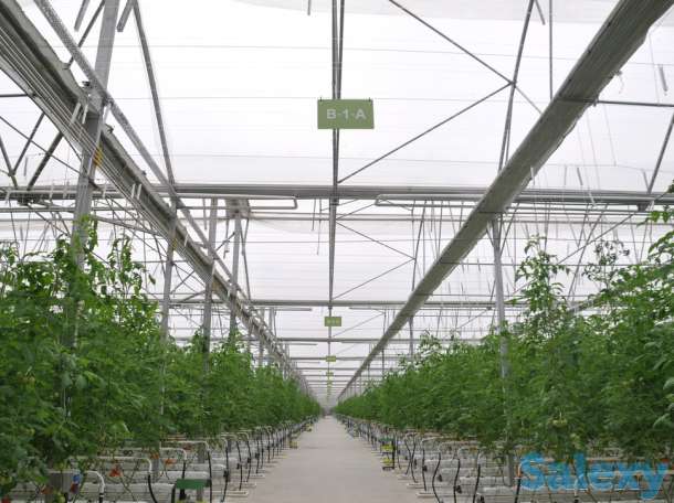 Современная турецкая теплица под ключ. Есть 4 варианта теплицы., фотография 3