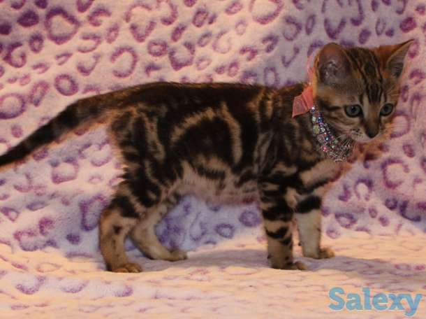 Расписная красота, фотография 1