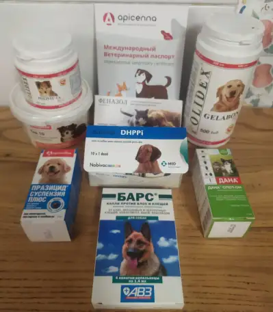 Щенки 100 немецкой овчарки, фотография 5