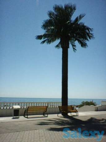 Набережная, море.курить запрещено, евроремонт, фотография 1