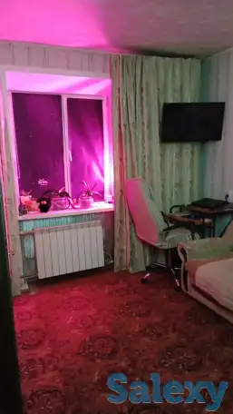 полуторка, Геологическая 10, фотография 7