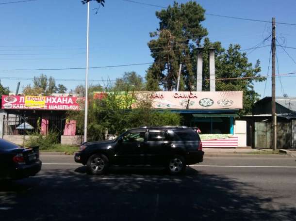 Продам Дом под бизнесс, Райымбека, Немировича-Данченко, фотография 1