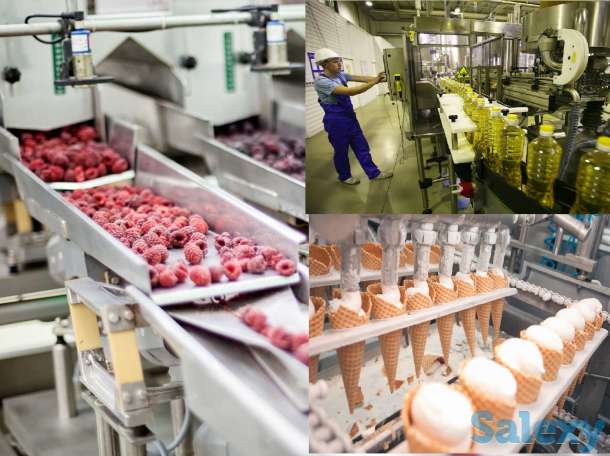 Открытие пищевого производства под ключ, фотография 1