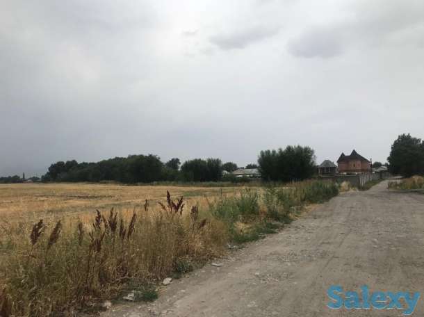 Продам землю 53 га!, район, Панфиловский сельский округ, фотография 6