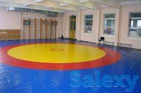 Борцовский ковер 8х8 м (с матами НПЭ 50мм), фотография 1