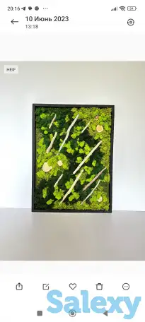 Картины из стабилизированного мха, фотография 1