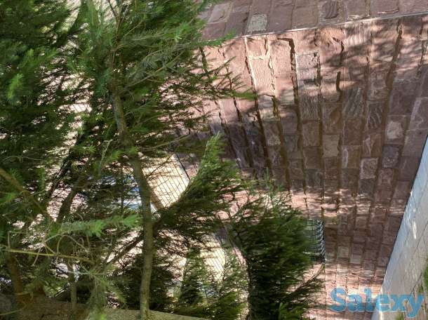 Шикарный 3-х этажный коттедж на Юго-востоке , Борили, фотография 17