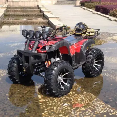 Квадроцикл 250сс на кардане, фотография 3