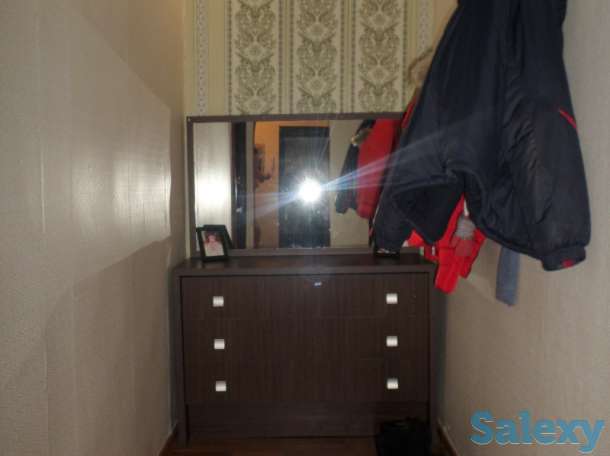 Продам 3-х комнатную квартиру ул Бажова 339, фотография 4