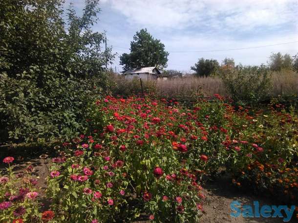 Продам дачу в с/о 