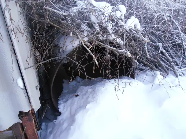 Всё для дома, фотография 2