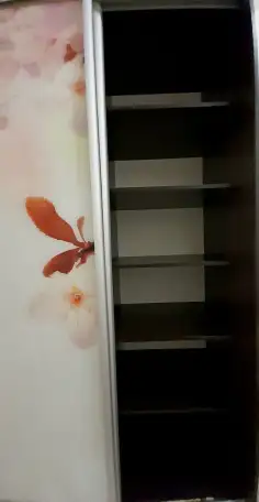 Шкаф купе из темного дерева с стеклянным фасадом в виде вишневой сакуры бу, фотография 5