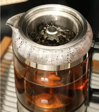 Чайник электрический паровой, фотография 2