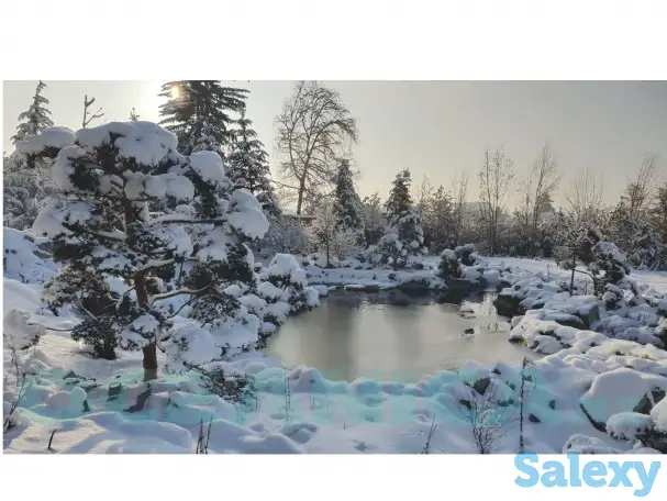 Строительство прудов, фотография 7