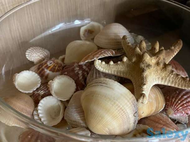 Аренда зала, фотография 4