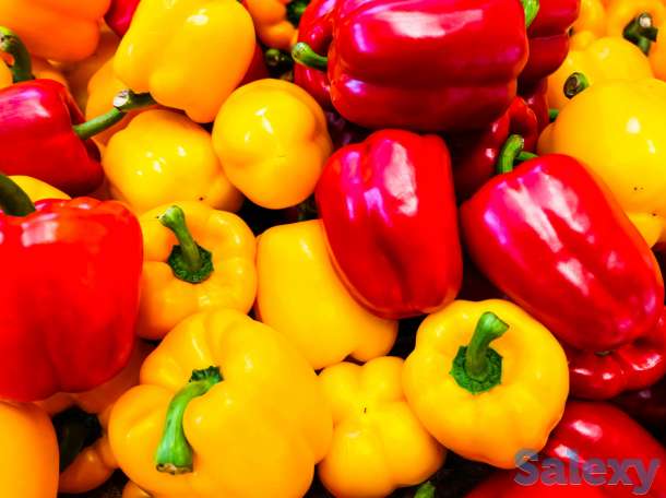 Продам рассаду перца., фотография 2