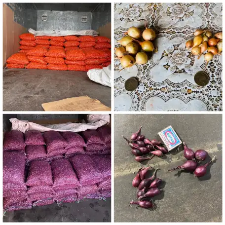 Севок разных сортов, фотография 1