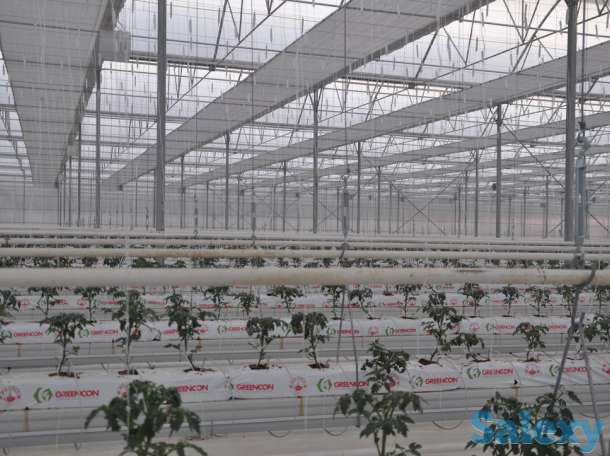 Современная турецкая теплица под ключ. Есть 4 варианта теплицы., фотография 5