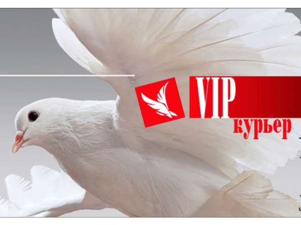 Услуга «аренда vip-курьера», фотография 2