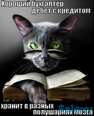 Опытный лектор бухгалтер, фотография 1