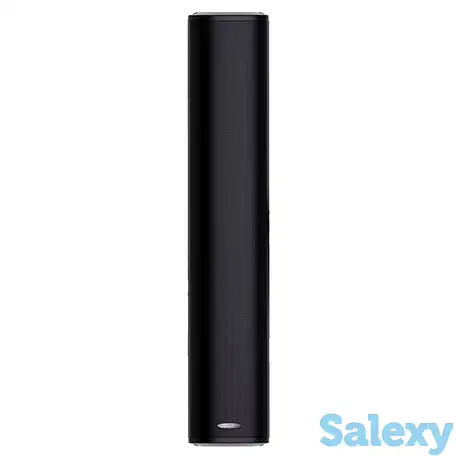 Всепогодная звуковая колонна dsppa dsp455ii b, фотография 1