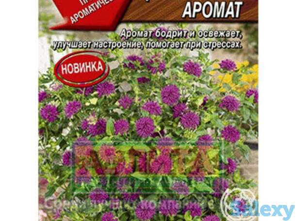 Семена Бергамот Цитрусовый аромат 0.02г, фотография 1