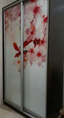 Шкаф купе из темного дерева с стеклянным фасадом в виде вишневой сакуры бу, фотография 2