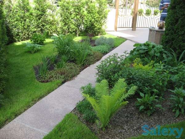 укладка газона, фотография 4