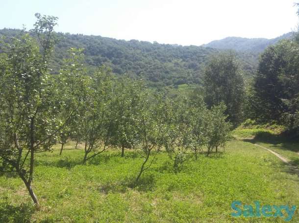 Продам участок в чистом экологическом районе, Мик-н Кольсай, фотография 4