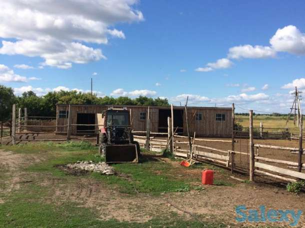 Продаётся животноводческая ферма, фотография 8