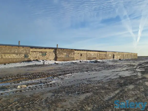 Продам крестьянское хозяйство в 100 км от Уральска, фотография 14