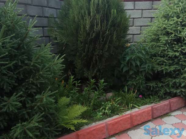 Продам дом в Алматы, фотография 12