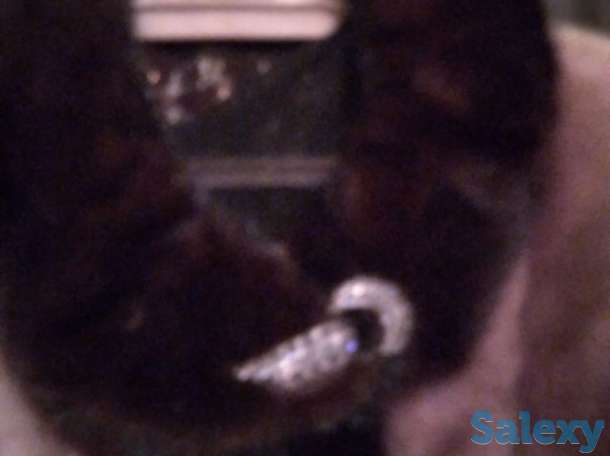 Продам шубу мутон  на воротнике , на рукавах  черная норка размер 50 , 52  состояние отличное  , в пользовании 1 год, фотография 4