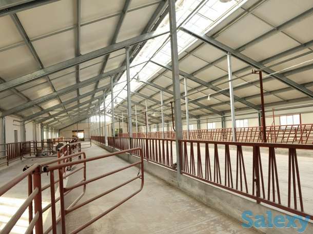 Ангары, автомойки, фермы, склады из металлоконструкций, фотография 8