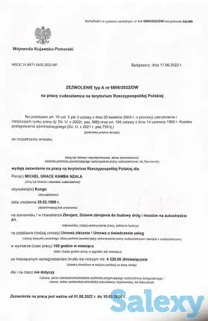 Рабочая виза в Польшу. Приглашение  в Польшу, фотография 3