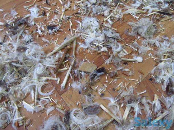 Чистка подушек Уральск (Реставрация), фотография 4