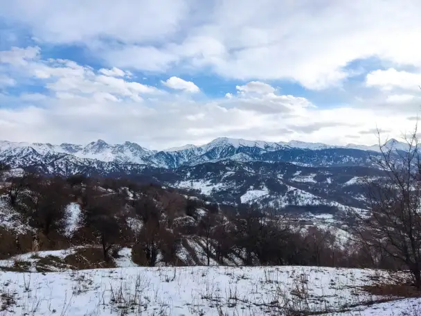 Продам участок Медеуский район, фотография 6