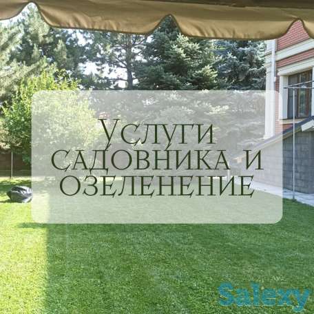Услуги садовника и озеленение, фотография 1