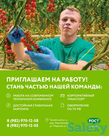 Работники в теплицы вахтовым методом (муж/жен), фотография 2