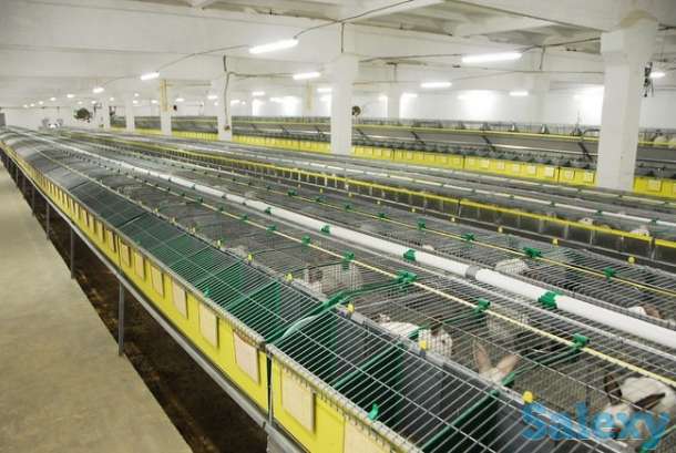 Работа в Германии, фотография 3