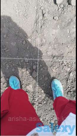 Разбивка сада, ягодника., фотография 1