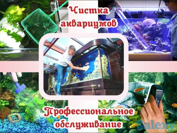 Аквариумы (биотопы). Дизайн, Изготовление, Обслуживание, Уход., фотография 4