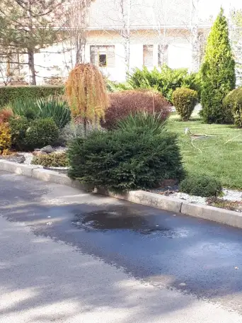 Спил сруб деревьев, фотография 6