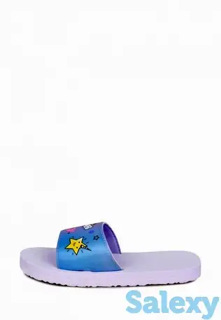 Сланцы t.taccardi, фотография 2