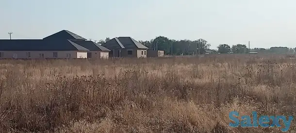 Продажа ровных участков в Узынагаш., фотография 5