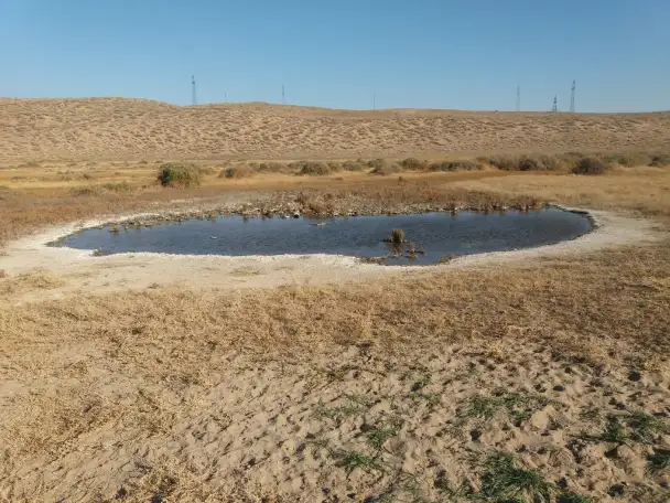 Участок 350 га в Кунаева Капчагай, (Капчагай), фотография 1