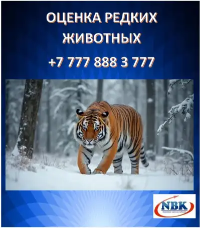 Оценка редких животных, фотография 1