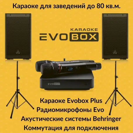 Комплект до 120 кв караоке Evolution акустика, микшер для кафе и дома, фотография 2