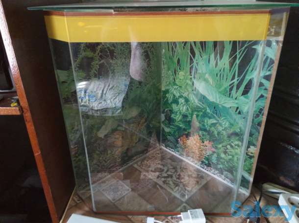 Аквариумы, фотография 1